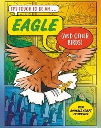 An Eagle (and Other Birds)