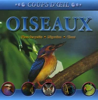 Oiseaux