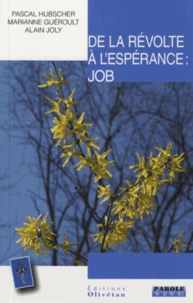 De la révolte à l'espérance : Job
