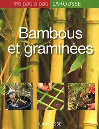 Bambous et graminées