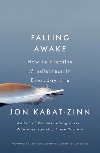 Falling Awake. How to Practice Mindfulness in Everyday Life