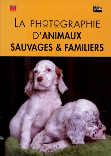 Jonathan Hilton - La photographie d'animaux sauvages & familiers.