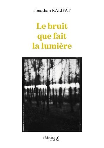 Le bruit que fait la lumière