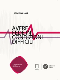 Avere fede in condizioni difficili. L’esperienza di Neemia