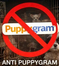 Anti Puppy Gram