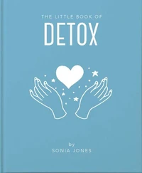 The Little Book of Detox