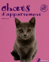 Chats d'appartement