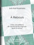 Joris-Karl Huysmans - A Rebours - Avec une préface de l'auteur écrite vingt ans après le roman.