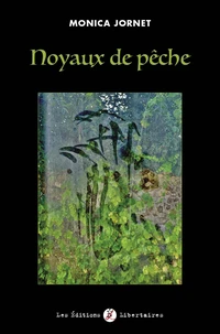 Noyaux de pêche