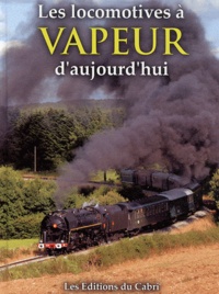 Goodtastepolice.fr Les locomotives à vapeur d'aujourd'hui Image