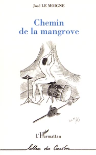 Chemin de la mangrove