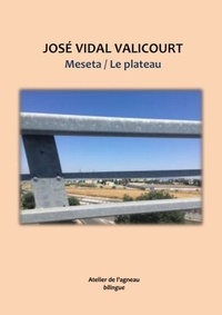 José Vidal Valicourt - Metesa / Le plateau.