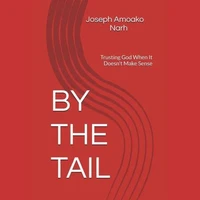 BY THE TAIL: Trusting God When It Doesn't Make Sense