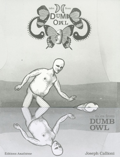 Joseph Callioni - Dumb Owl.