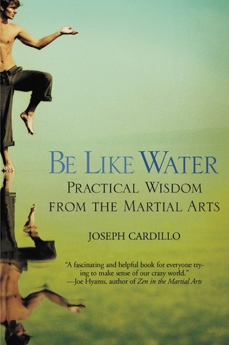 Be Like Water. Practical Wisdom from the Martial Arts