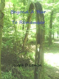 Beyond A Year To Remember