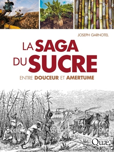 Joseph Garnotel - La saga du sucre - Entre douceur et amertume.