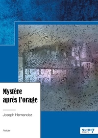 Joseph Hernandez - Mystère après l'orage.