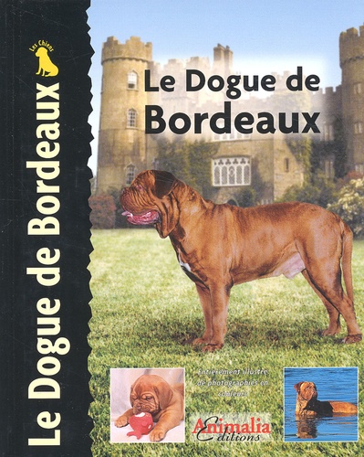 Joseph Janish - Le Dogue De Bordeaux.