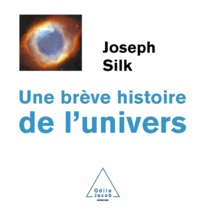 Joseph Silk - Une brève histoire de l'univers.