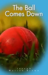  Joseph Warren Brown - The Ball Comes Down - Joey's Adventures, #2.