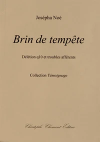 Brin de tempête