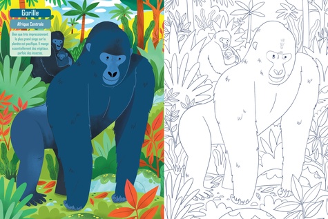 Mon cahier de coloriage la jungle. Avec une partie documentaire