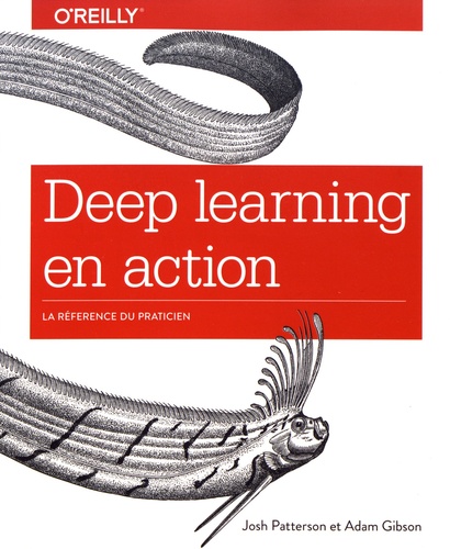 Deep learning en action. La référence du praticien