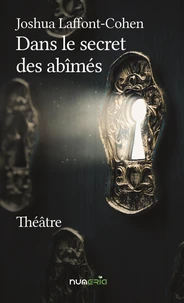 Dans le secret des abîmés