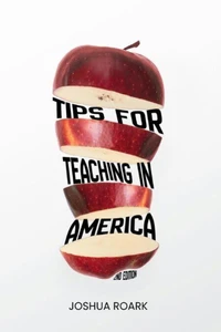 Tips for Teaching in America