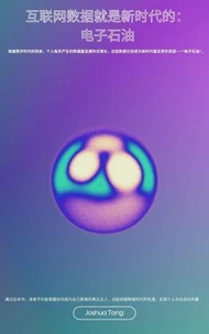 互联网数据就是新时代的：电子石油