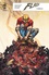 Flash rebirth Tome 9 Année un