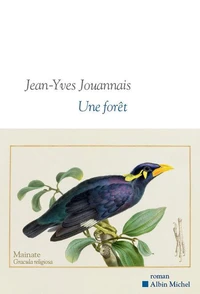 Une forêt