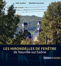 Les hirondelles de fenêtre de Neuville-sur-Saône