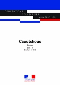  Journaux officiels - Caoutchouc - IDCC 45.