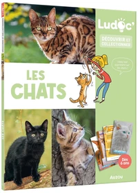 Les chats