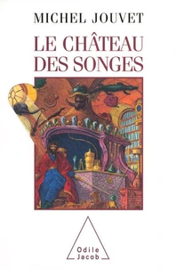 Le château des songes