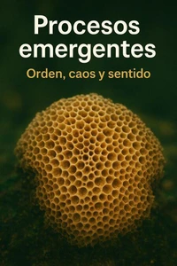 Procesos emergentes: orden, caos y sentido
