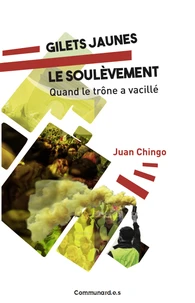 Gilets jaunes : le soulèvement