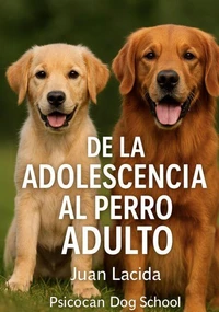De la Adolescencia al Perro Adulto