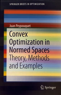 Convex Optimization in Normed Spaces