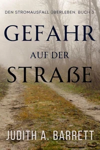 Gefahr auf der Straße