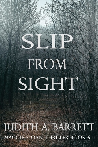  Judith A. Barrett - Slip from Sight - Maggie Sloan Thriller, #6.