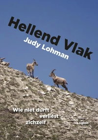 Hellend Vlak
