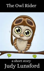 The Owl Rider