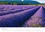 CALVENDO Places  Rêves de lavande - Provence (Calendrier mural 2020 DIN A3 horizontal). Champs de lavande de différentes régions de Provence (Calendrier mensuel, 14 Pages )