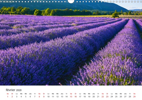 CALVENDO Places  Rêves de lavande - Provence (Calendrier mural 2020 DIN A3 horizontal). Champs de lavande de différentes régions de Provence (Calendrier mensuel, 14 Pages )