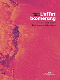 L'Effet boomerang