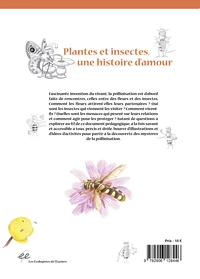 Plantes et insectes, une histoire d’amour