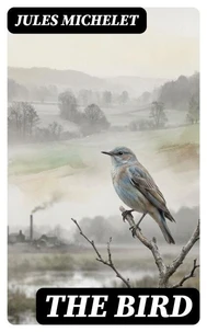 The Bird